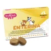 Enterina