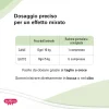 Strutturina - immagine 4