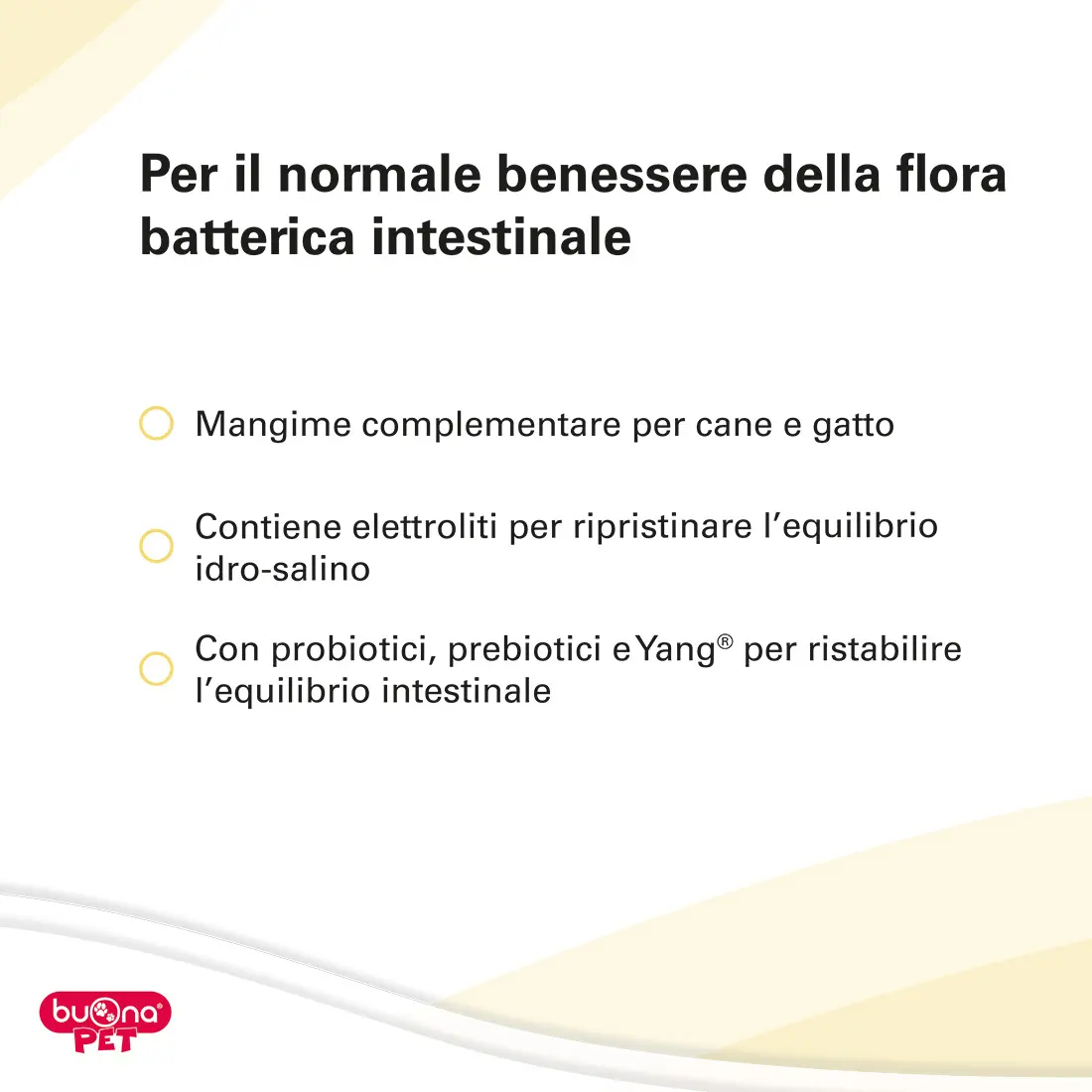 enterina-flor_100_B08KF1Q86S-2 Enterina Flor - immagine 3