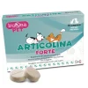 Articolina Forte