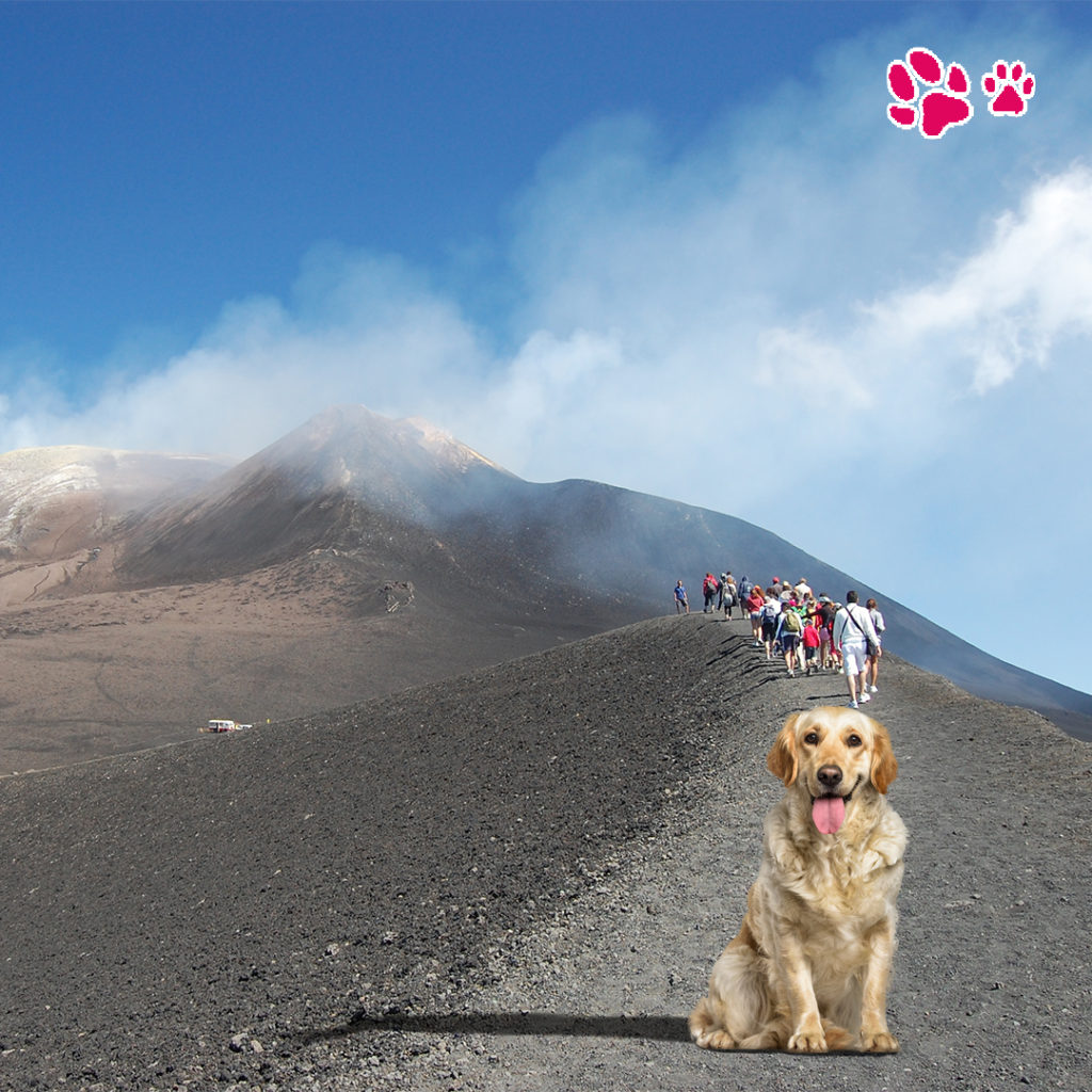 viaggiare col cane in sicilia