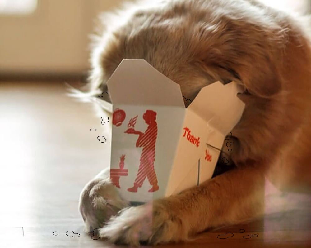 Enterina compresse