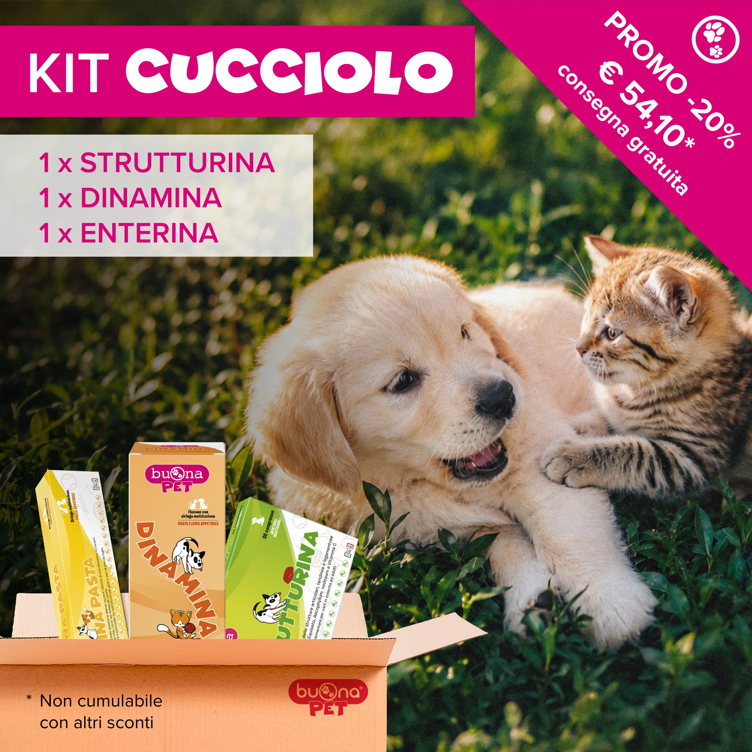 KIT_CUCCIOLO Kit Cucciolo - immagine 1