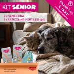 Kit Senior