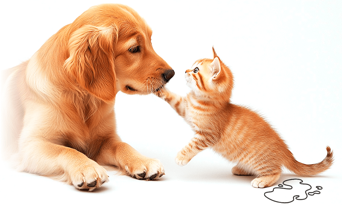 buona-pet-prodotto