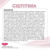 CISTITINA - immagine 8