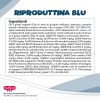 RIPRODUTTINA BLU flacone - immagine 9